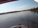 searey fun