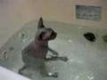 bath time