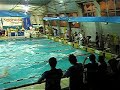 Finswimming-nuoto pinnato 4x50 bifins