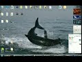 shark attack desktop 2