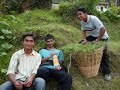 Changu Narayan Tour