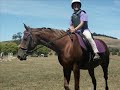 My Horses My Horses