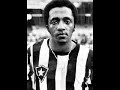 Botafogo Campe�o
