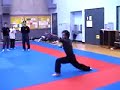Kung Fu - Chang Quan - Basic Set
