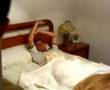 armonico antes de dormir