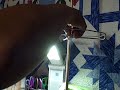 My Homemade Clip it up