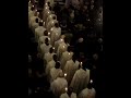 canto de la salve por los mártires carmelitas de toledo v
