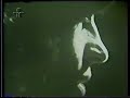 Nara Leão TV Show