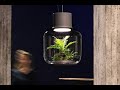 Lights Designed to breathe life into your modern home - Yanko Design