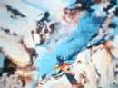ssx tricky(my sister did the wierdes thing in ssx tricky) ssx tricky(my sister did the wierdes thing in ssx tricky)