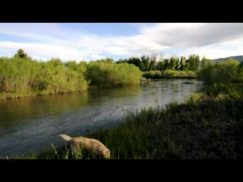 230 acres Moore, ID