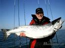 Kapitale Lachse - by www.baitcaster.de Lachs Salmon Asaumon Kapitale Lachse - by www.baitcaster.de Lachs Salmon Asaumon