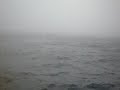 Whale Watching Tour Part 4