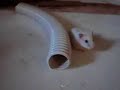Meno in the pipe