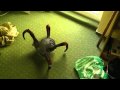 venom headcrab