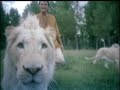 Siegfried & Roy Magic Box clips Siegfried & Roy Magic Box clips