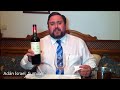 VIDEOCATA CASTILLO DE MANZANARES TEMPRANILLO CRIANZA