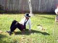 Suburban Williamsburg Amish-look Thanksgiving