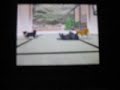 Finicky Doggies ( so cute though)