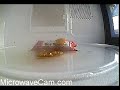 MicrowaveCam.com - Soy Sauce (slow motion) MicrowaveCam.com - Soy Sauce (slow motion)