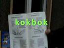 Course 08 02 - A jobless Swedish immigrant chef in Berlin HQ