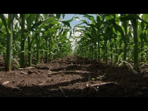 Agsense