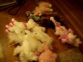 Webkinz Play #1 part 3 : Oh Boyfriends!