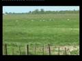 Les petits détours du pays de Fontenay