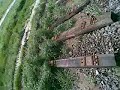 Biggalos bogged excavator