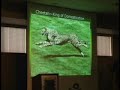 Hominoids - 20 Million Years Of Suppressed History 8/9