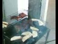 coronillas family gdl Carne asada
