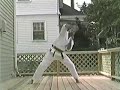 Uechi-Ryu Beginners Warmup Exercises