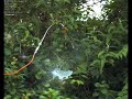 High Speed Camera video of a balloon going pop
