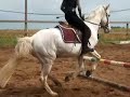 Jos�phine et Falbala!