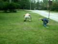 videos de roll it