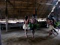 Danzas tribales en el Amazonas Danzas tribales en el Amazonas