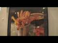 videos de Cafe de Bruxelles