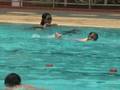 videos de breast stroke swimming technique