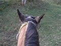 My ranch vacation. My ranch vacation.