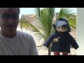 Paddington in Punta Sal [HD]