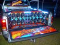 ABELBEETLE 2008
