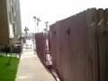South Padre Condos Gulfview