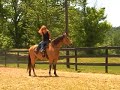 Moon, AQHA Buckskin gelding Moon, AQHA Buckskin gelding