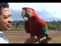 Guyana ( Part 2 of 9 )