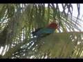 Guyana ( Part 2 of 9 )