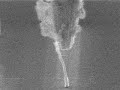 AFM,assembly,atomic
