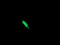 Freitagnacht@Spinnerei-3uhr50