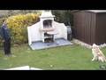 Gehorsam - Oliver trainiert im Garten