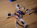 Quadruped walking robot