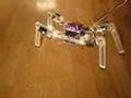Quadruped walking robot
